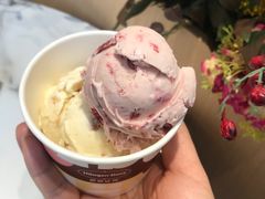 夏威夷果仁味冰淇淋-哈根达斯(国瑞店)