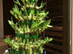 iphone_upload_pic-粗茶淡饭·隐庐私厨(东亭店)