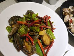 船歌始创辣炒小鲍鱼-船歌·鱼水饺青岛菜(金狮广场店)