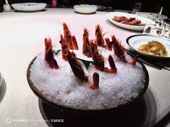 十五年花雕醉红虾-三利音·东方司宴(外滩店)