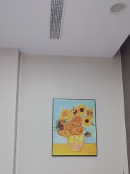 -上海漾颜医疗美容