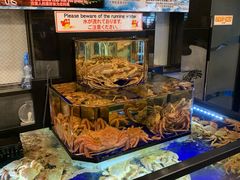 -蟹道乐(道顿堀本店)