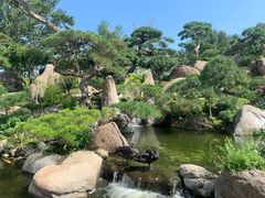 -罗红摄影艺术馆