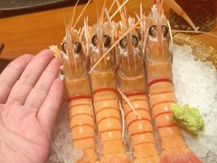 -月龍吟(朝龙汇店)