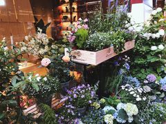 -二酉书店TOYOU BOOKS