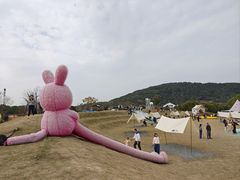 -苏州太湖西山岛开心农场