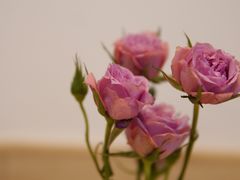 -红小姐咖啡馆(西津渡店)