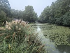 -洛阳市隋唐城遗址植物园
