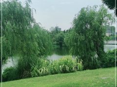 -南通濠河风景名胜区