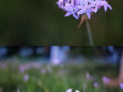 -鼓浪屿内厝澳码头(轮渡站)