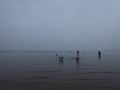 -东戴河风景区-止锚湾