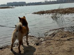 -绿堤公园