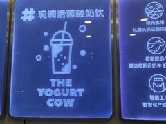 -一只酸奶牛(洪崖洞11楼店)