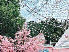 -东湖生态旅游风景区