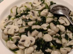 荠菜蘑菇-松鹤楼(狮山永利广场店)