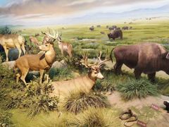 -陕西自然博物馆