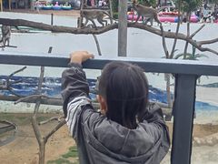 -西霞口神雕山野生动物世界