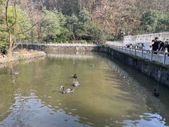 -黔灵山公园