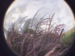 -野狸岛