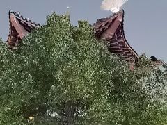 -武汉园博园(武汉自然博物馆)