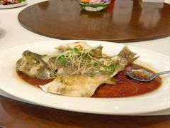 -天目馨缘