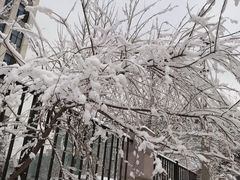 -石岛赤山风景区