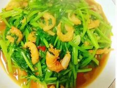 -天鹅到家·保姆月嫂育儿嫂(总店)