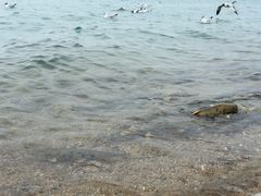 -青海湖二郎剑景区