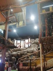 -卡通尼·Safari非洲探索乐园·生日会(金桥国际商业广场店)