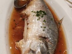 鸡油红汤蒸鲥鱼-喜来登由由大酒店九州膳坊中餐厅