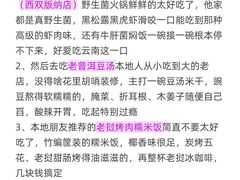 -西双版纳傣族园