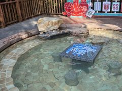 -天目湖涵田半山温泉