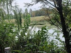 -梁鸿国家湿地公园