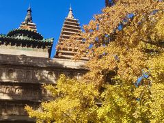 -北京石刻艺术博物馆(五塔寺)