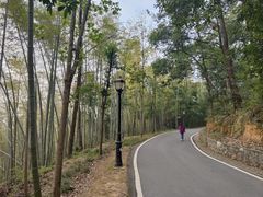 -潜山国家森林公园