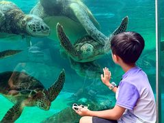 -海合安成都极地海洋公园