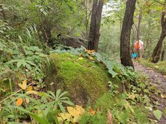 -玉渡山自然风景区