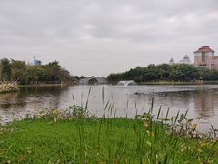 -映月湖公园