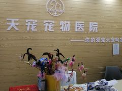 -天宠宠物医院24小时·急重症诊疗中心·全科·腔镜特色(和平分院)