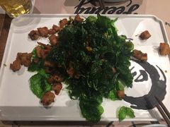 -猫头婴小酒馆FUN OWL(1912店)