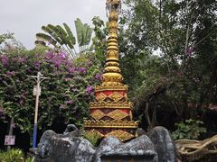 -瑞丽独树成林风景区