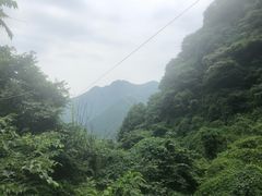 -黎坪国家森林公园