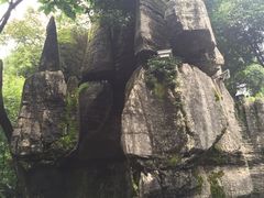 -梦幻奥陶纪景区