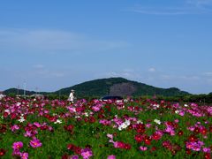 -南北湖风景区