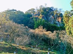 -广州市石门国家森林公园