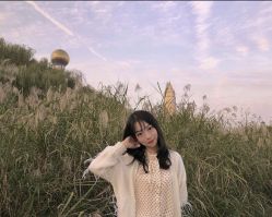 点击看大图 -YESIDO椰岛造型