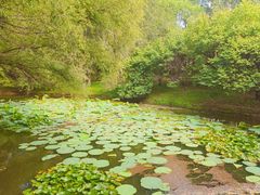 -长白岛森林公园