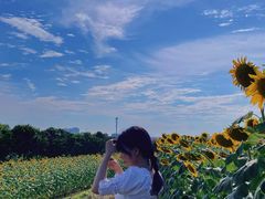 -光明小镇欢乐田园
