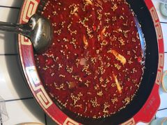 -老黄记丁丁美蛙鱼头自助鱼火锅(中海国际旗舰店)