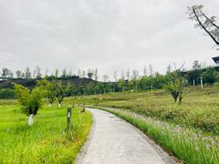 -三岔湖景区